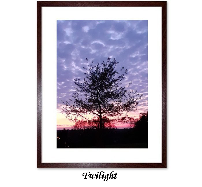 Twilight Framed Print